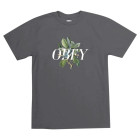 OBK
